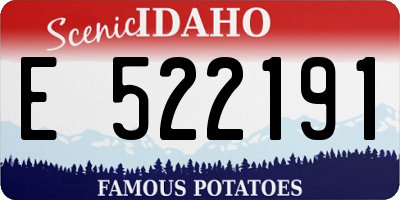 ID license plate E522191