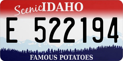 ID license plate E522194