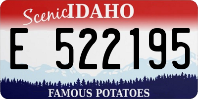 ID license plate E522195