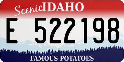 ID license plate E522198
