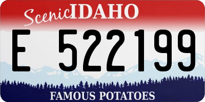ID license plate E522199