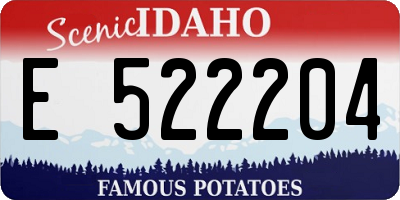 ID license plate E522204