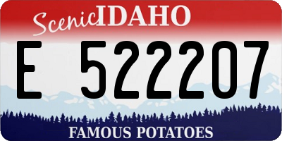ID license plate E522207