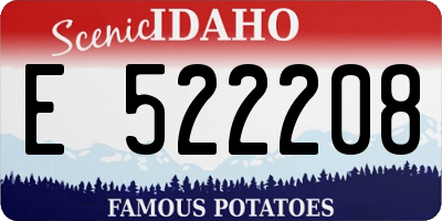 ID license plate E522208