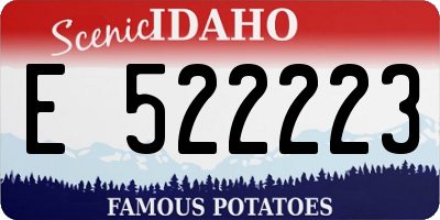 ID license plate E522223