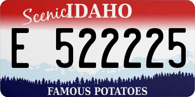ID license plate E522225