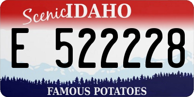 ID license plate E522228