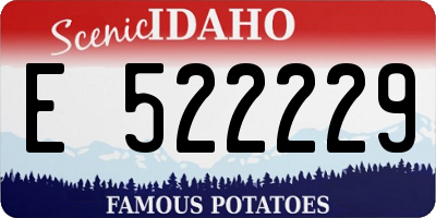 ID license plate E522229