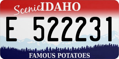 ID license plate E522231