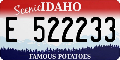 ID license plate E522233