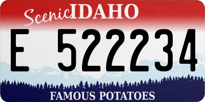 ID license plate E522234