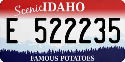 ID license plate E522235