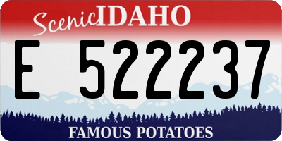 ID license plate E522237