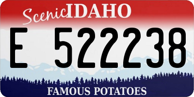 ID license plate E522238