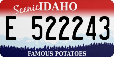 ID license plate E522243