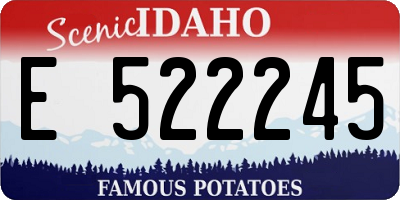 ID license plate E522245
