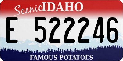 ID license plate E522246