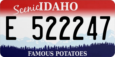 ID license plate E522247