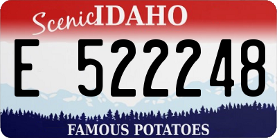 ID license plate E522248