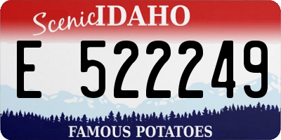 ID license plate E522249