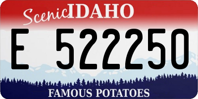 ID license plate E522250