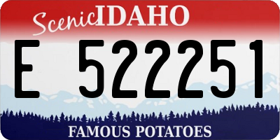 ID license plate E522251