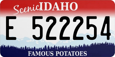 ID license plate E522254