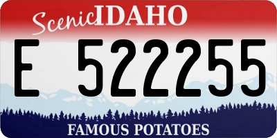 ID license plate E522255