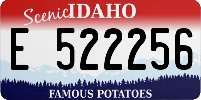 ID license plate E522256