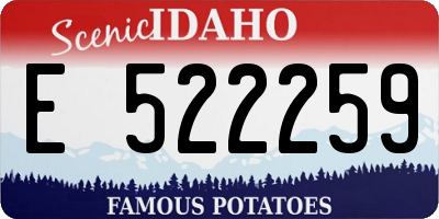 ID license plate E522259
