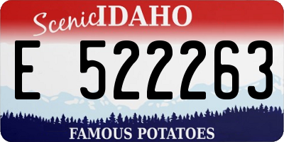 ID license plate E522263