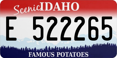 ID license plate E522265