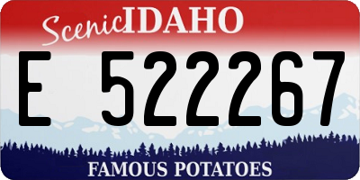 ID license plate E522267