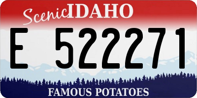 ID license plate E522271