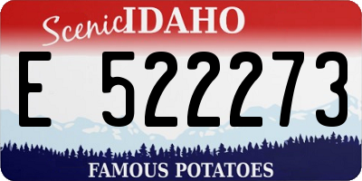 ID license plate E522273