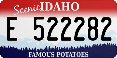 ID license plate E522282