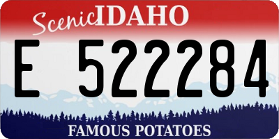 ID license plate E522284
