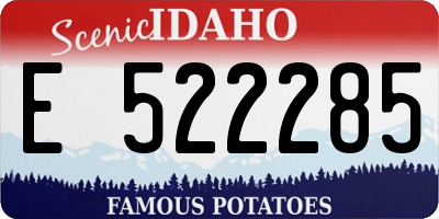 ID license plate E522285