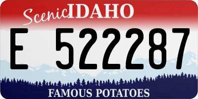 ID license plate E522287
