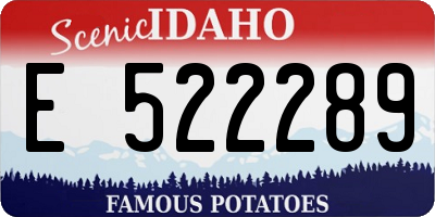 ID license plate E522289