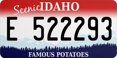 ID license plate E522293