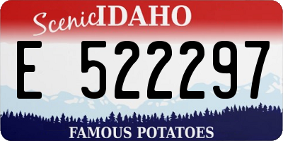 ID license plate E522297