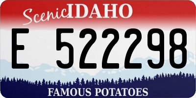 ID license plate E522298