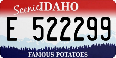 ID license plate E522299