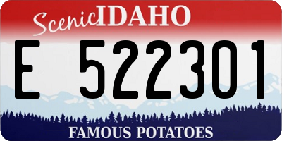 ID license plate E522301