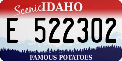 ID license plate E522302