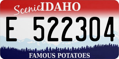 ID license plate E522304