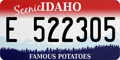 ID license plate E522305