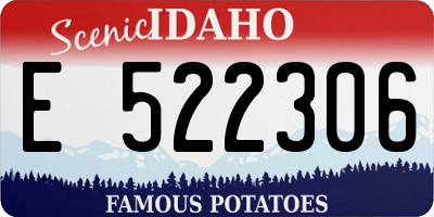 ID license plate E522306