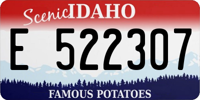 ID license plate E522307